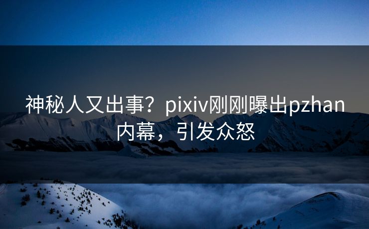 神秘人又出事？pixiv刚刚曝出pzhan内幕，引发众怒