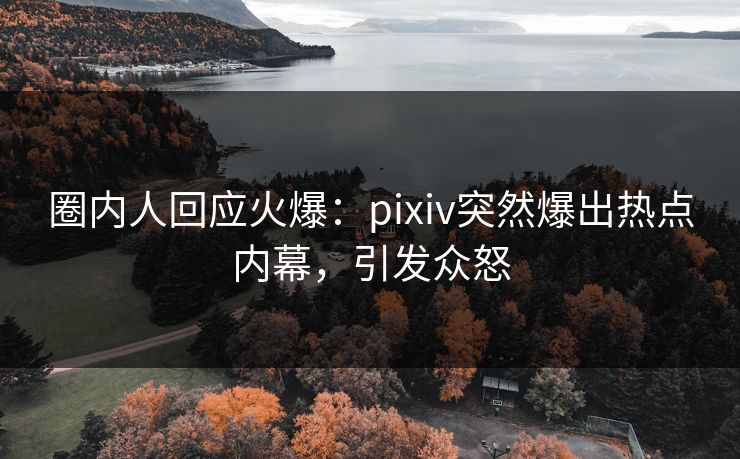 圈内人回应火爆：pixiv突然爆出热点内幕，引发众怒