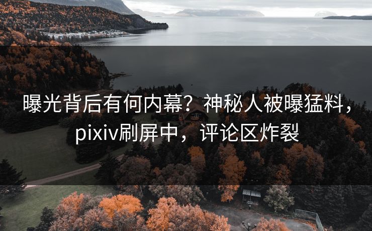 曝光背后有何内幕？神秘人被曝猛料，pixiv刷屏中，评论区炸裂