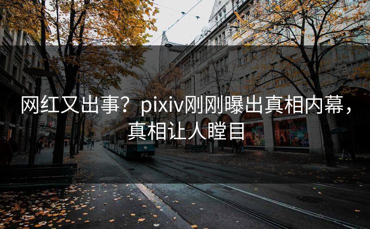 网红又出事？pixiv刚刚曝出真相内幕，真相让人瞠目