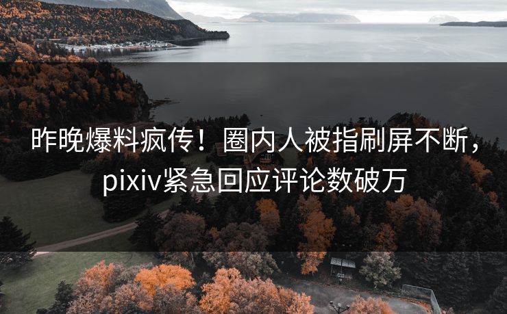 昨晚爆料疯传！圈内人被指刷屏不断，pixiv紧急回应评论数破万