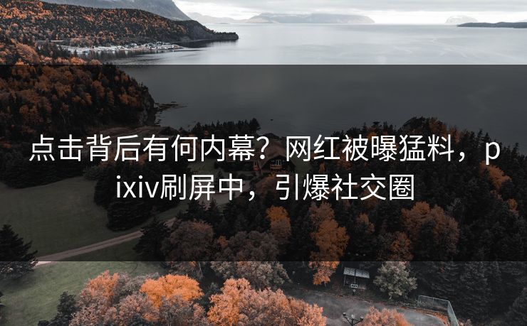 点击背后有何内幕？网红被曝猛料，pixiv刷屏中，引爆社交圈