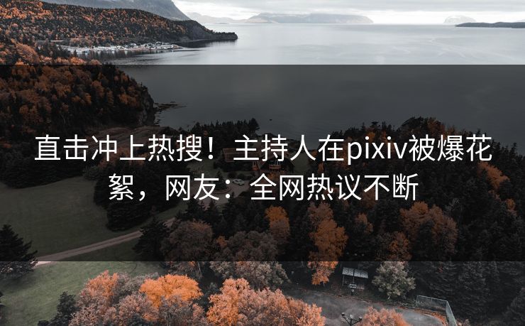 直击冲上热搜！主持人在pixiv被爆花絮，网友：全网热议不断