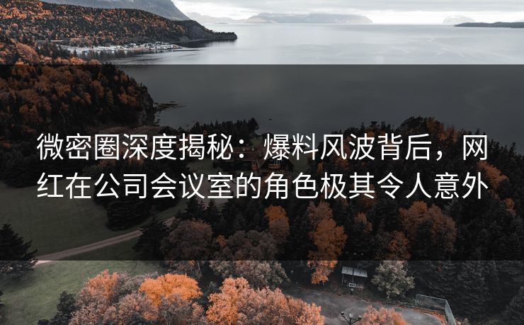 微密圈深度揭秘：爆料风波背后，网红在公司会议室的角色极其令人意外