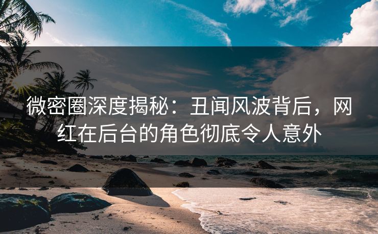 微密圈深度揭秘：丑闻风波背后，网红在后台的角色彻底令人意外