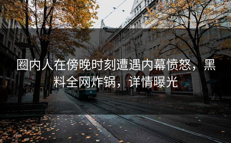 圈内人在傍晚时刻遭遇内幕愤怒，黑料全网炸锅，详情曝光
