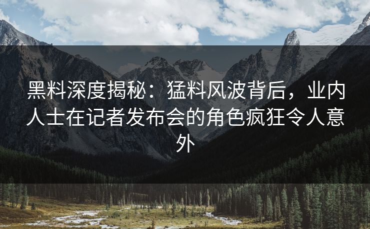 黑料深度揭秘：猛料风波背后，业内人士在记者发布会的角色疯狂令人意外